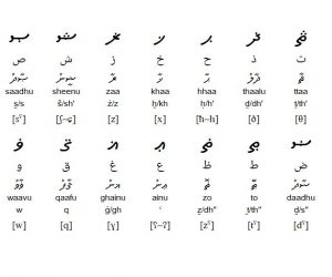 اللغة المالديف (2)