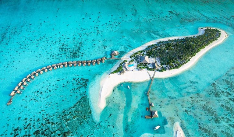 كوكون المالديف يفتح في ١٥ يوليو ٢٠٢٠
