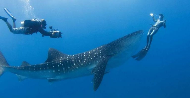 السياحة جزر المالديف تفتح حدودها في 15 يوليو Maldives