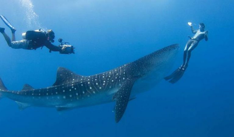 السياحة جزر المالديف تفتح حدودها في 15 يوليو Maldives