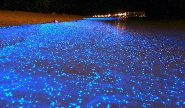 حملة قم بزيارة المالديف الآن لأكثر من 2.5 مليون عميل ممولة من شركة اوريدو الكويت